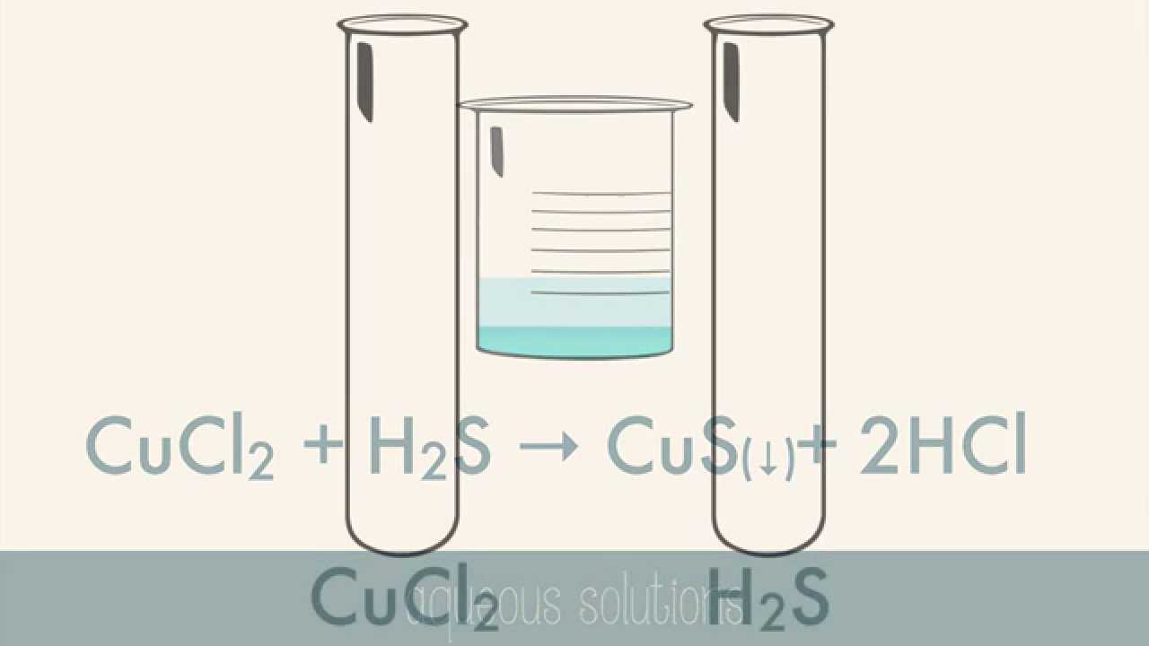 Reactions in Aqueous Solutions