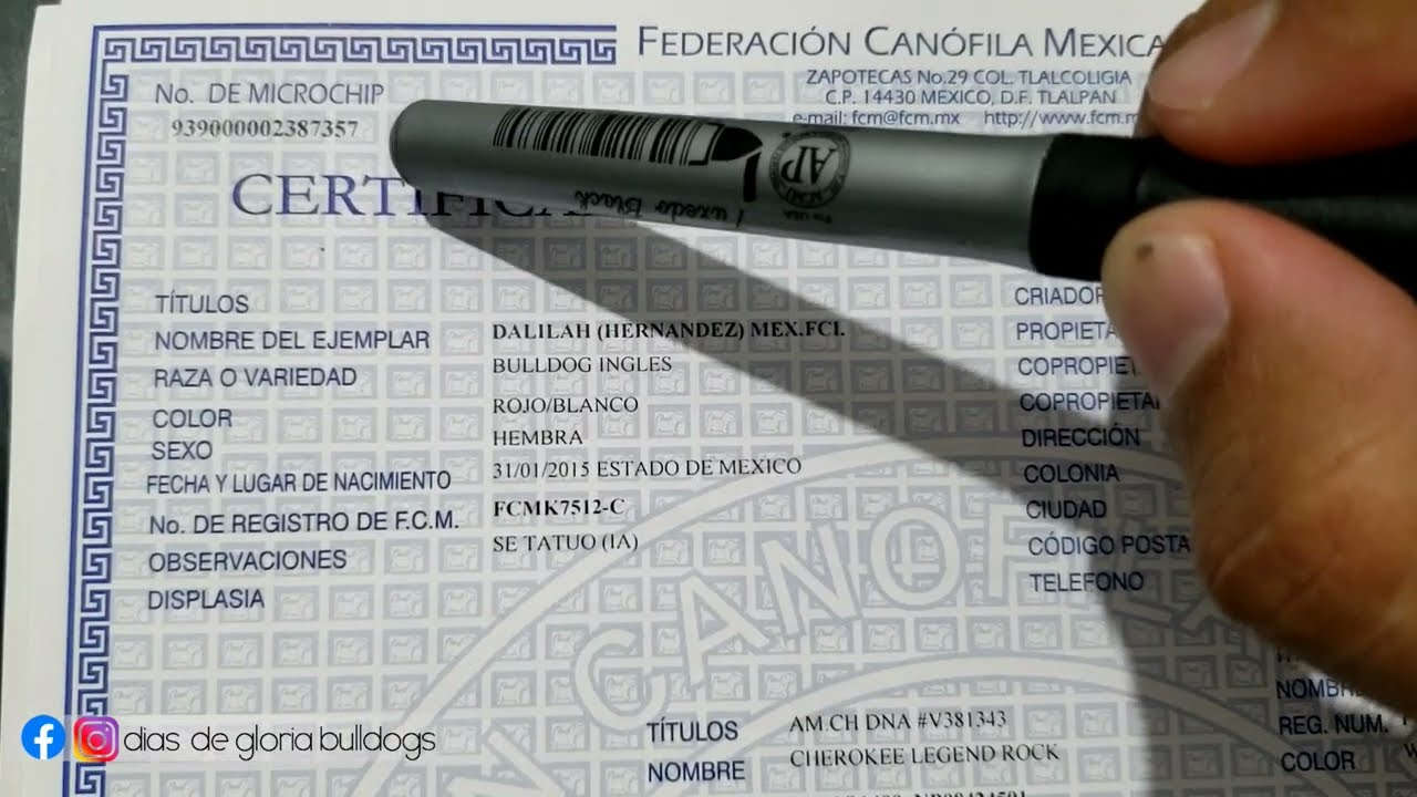 Pedigree Internacional de Perros  (que es, como se lee y para que sirve ? )