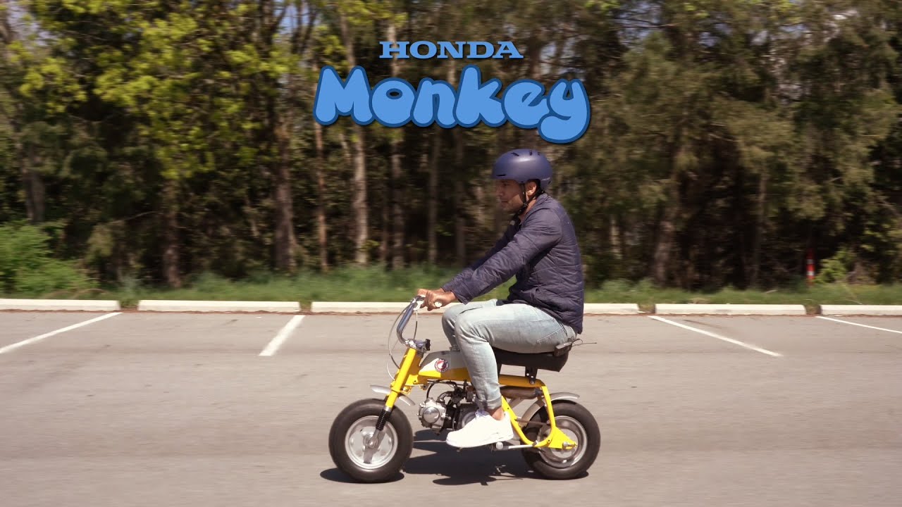 Is 1968 HONDA Z50 more Fun to Ride than a Modern Motorcycle? 🏍