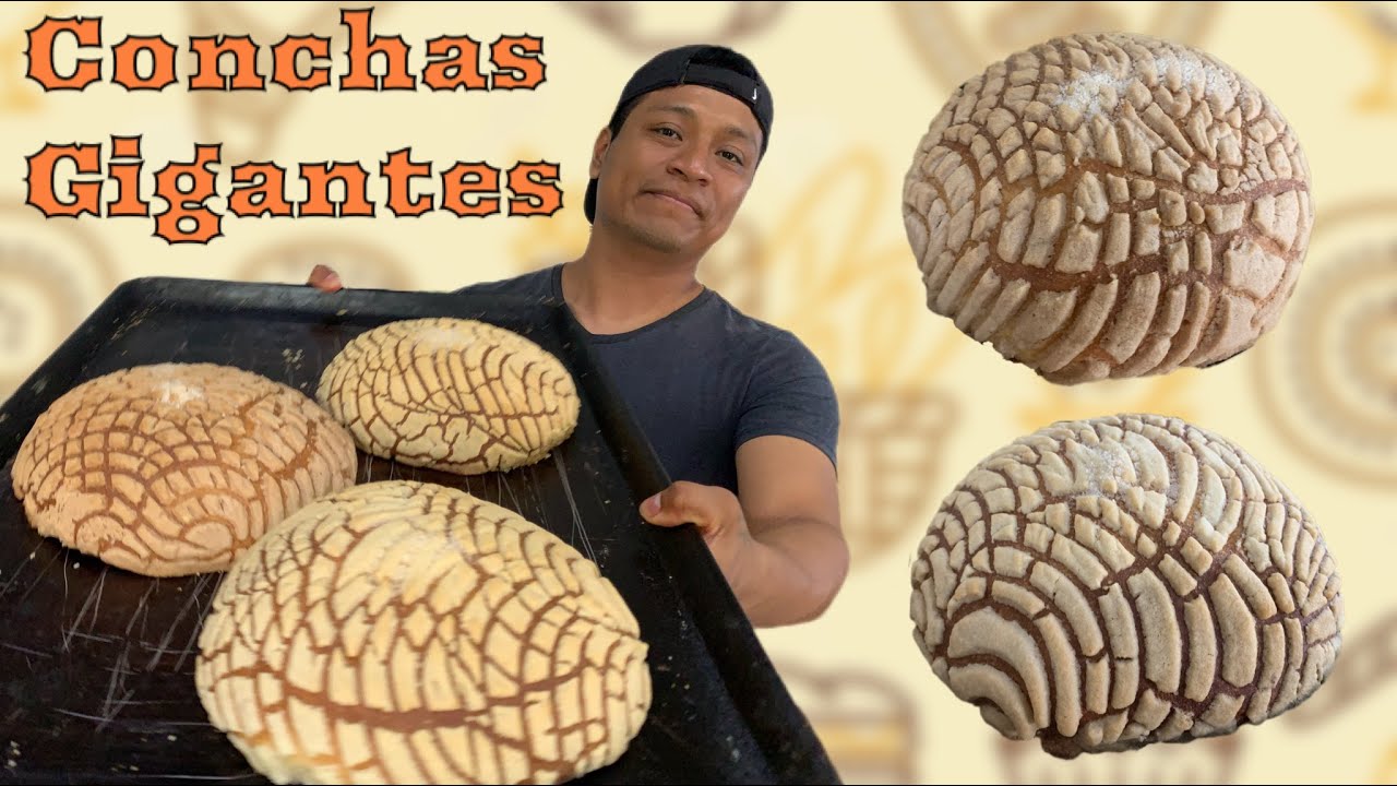 Las CONCHAS GIGANTES de mantequilla más fáciles de hacer proceso artesanal