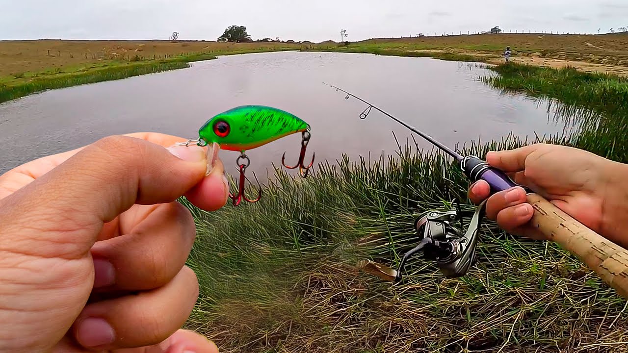 ESSA MINI CRANK TRÁS PEIXE EM QUASE TODO ARREMESSO, COMO PODE?? Pescaria Ultralight