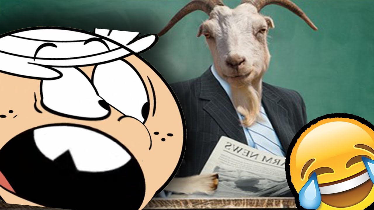 Iskolakecsk&eacute;s 🧒 L&Aacute;RM&Aacute;S CSAL&Aacute;D PAR&Oacute;DIA 🟠