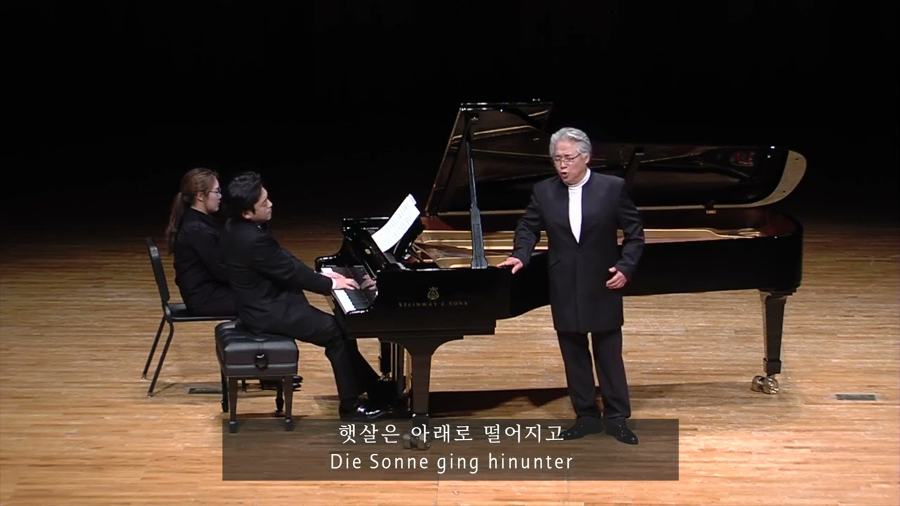 In Waldeseinsamkeit - J. Brahms | Kwangchul Youn 연광철