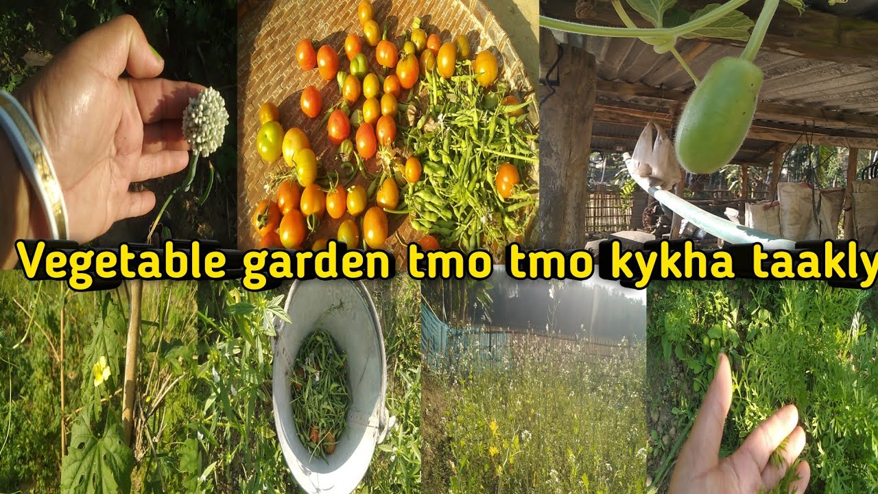 Our Simple Vegetables garden tour 😊||@bibhadb192