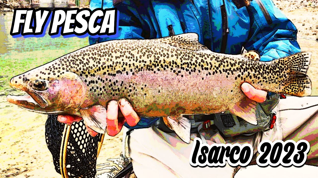 Isarco 2023 Fly Pesca
