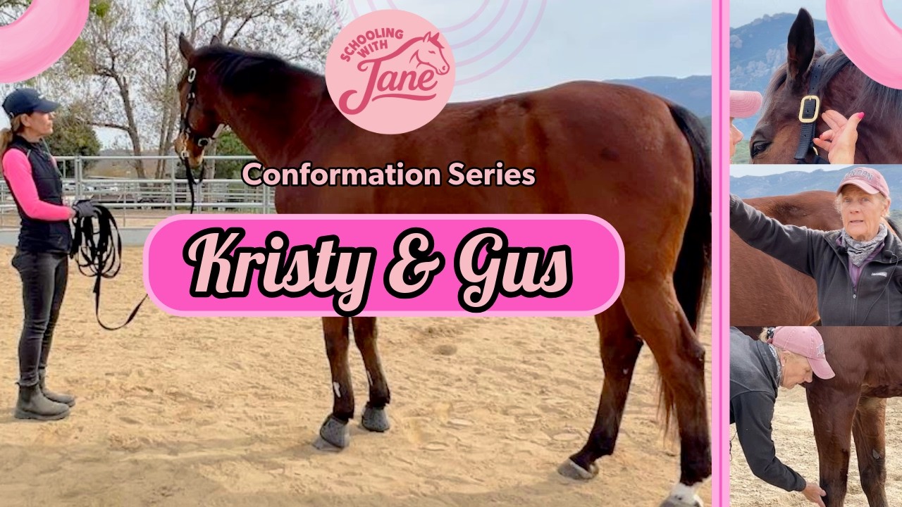 What Gus the Thoroughbred’s Conformation Reveals