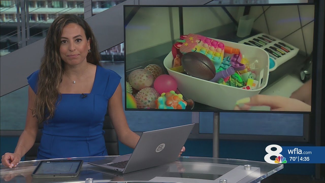 Девочки-скауты округа Манати были удостоены высшей награды организации.