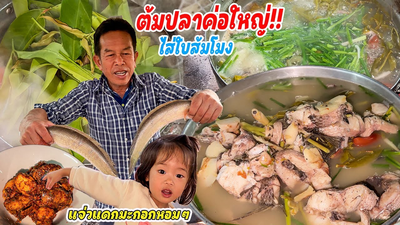 ต้มส้มปลาค่อใหญ่ไส่ใบส้มโมง!! ปลาค่อสองตัวงามๆ ต้มฮ้อนๆซดน้ำแซ่บๆ จ้ำแจ่วแดกมะกอกหอมๆ!!