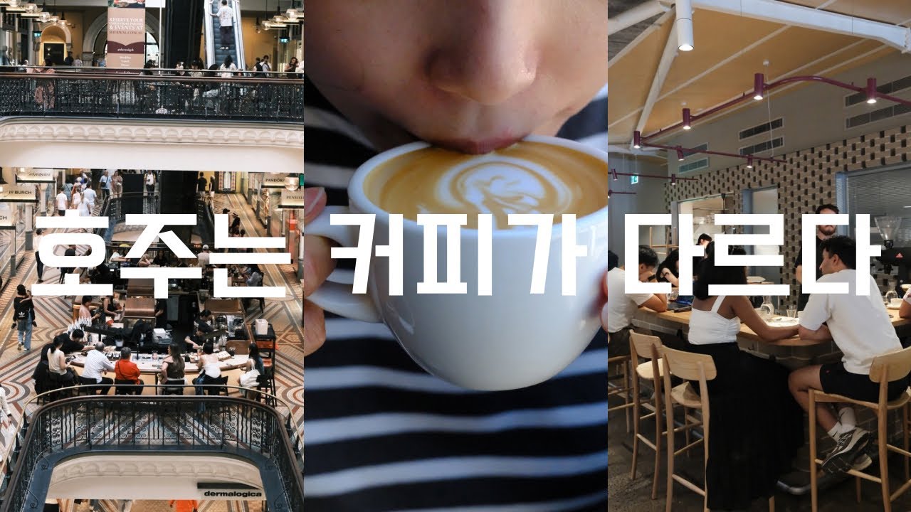 시드니 브이로그｜커피에 진심인 도시 그리고 본다이비치