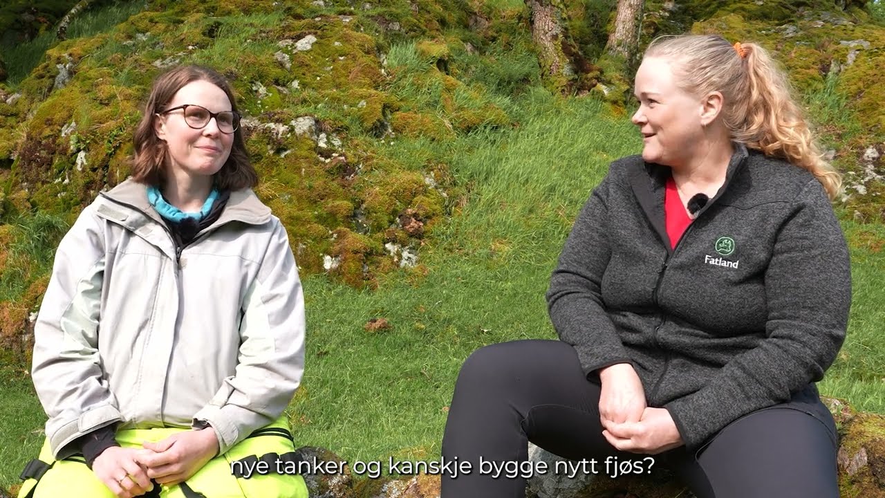Lykkes gjennom rådgivning, kontroller og mentorstøtte