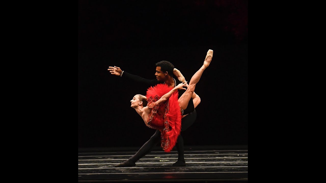 DAP Focus on - Maria Kochetkova Osiel Gouneo