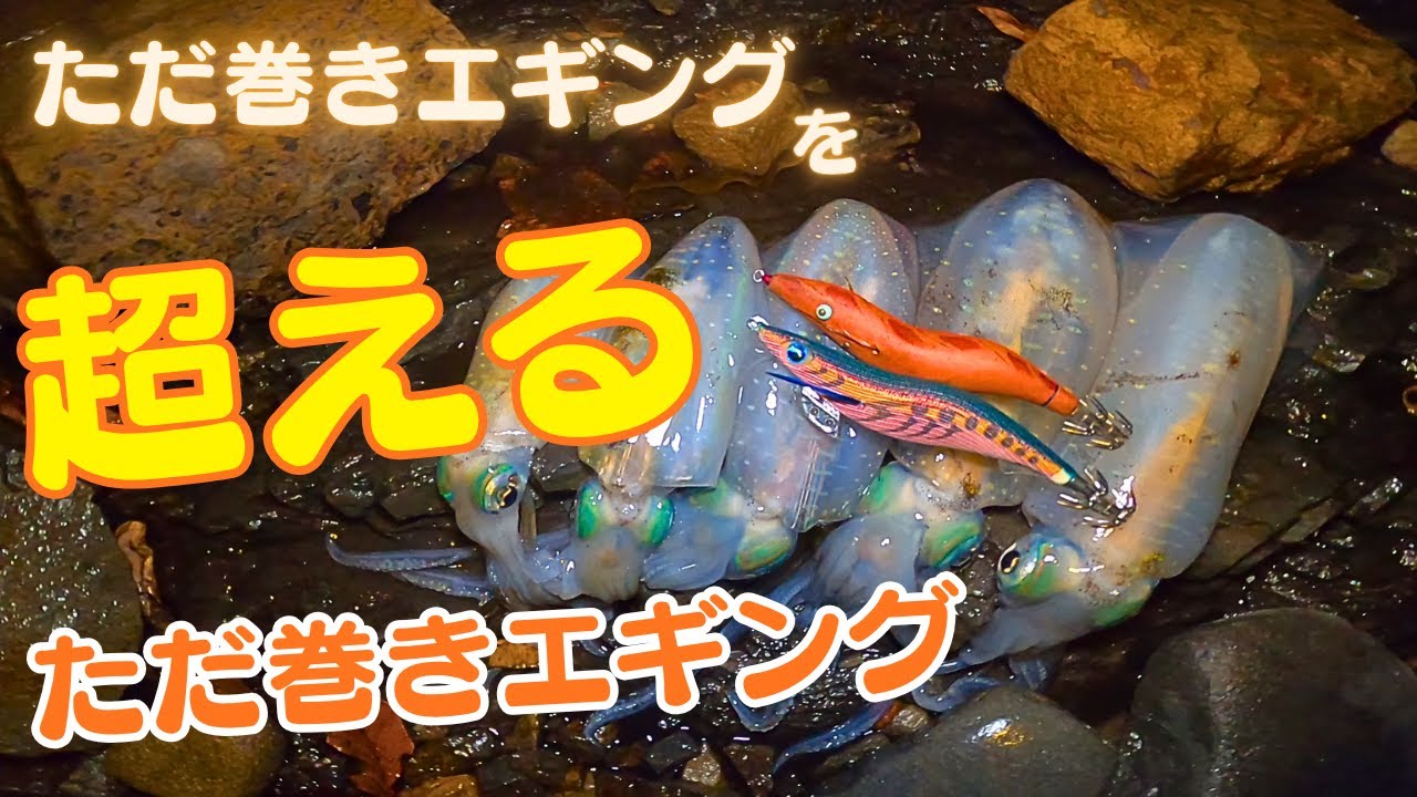 エギング編：渋い時アオリはここに居る！それを獲るには普通のただ巻きは通用しない！