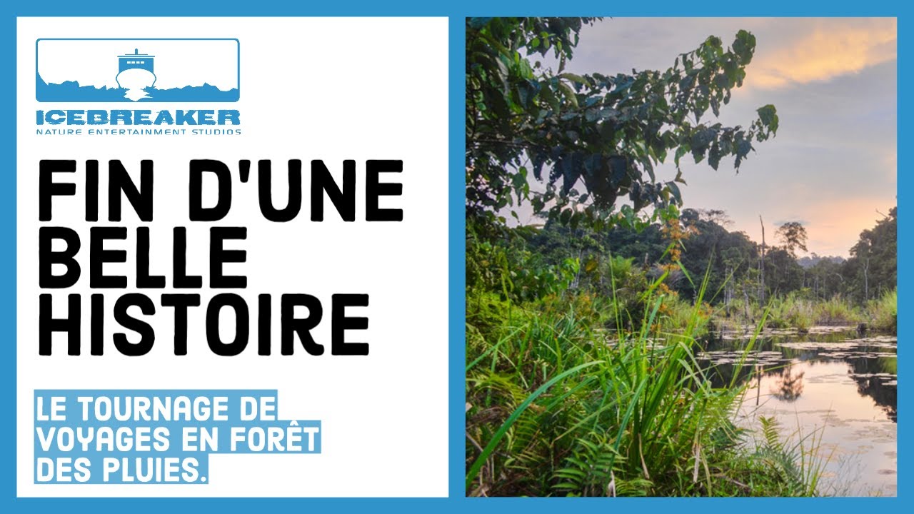 La fin d'une belle histoire ... (Tournage #33 / Voyages en forêt des pluies / Gabon)