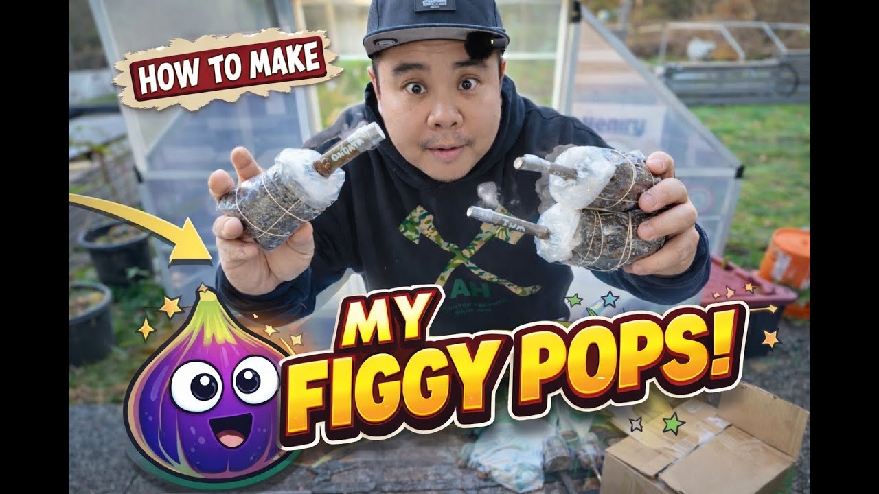 Beginner Fig Propagation: My Old Way vs My New Way (Figgy Pops)