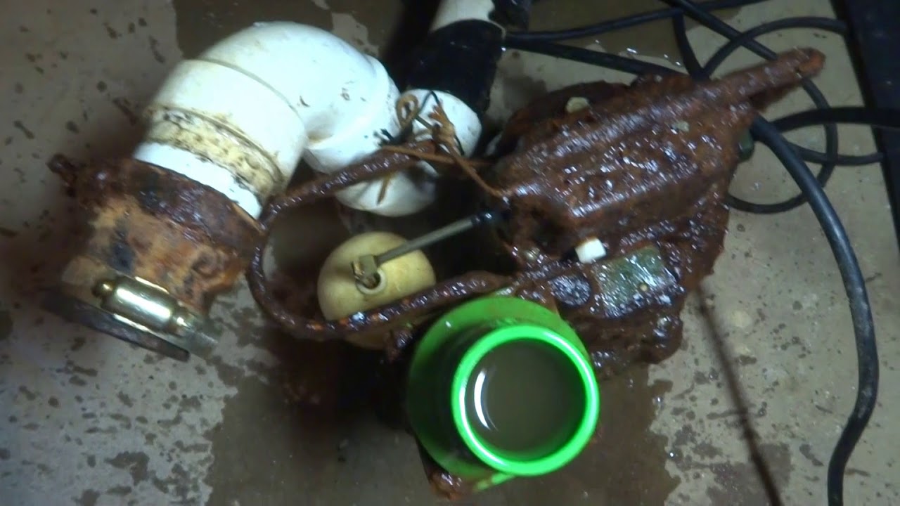 zoeller to liberty sump pump replacement