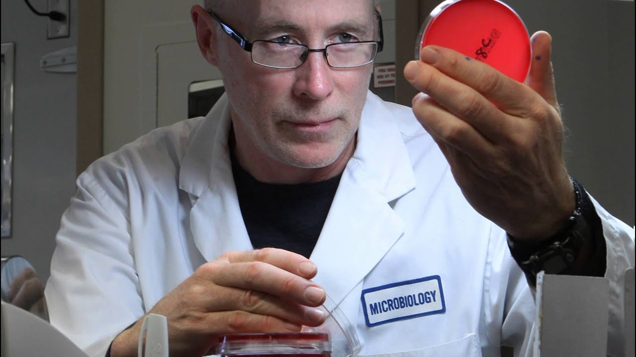 From autopsies to criminal trials: Inside forensic pathology at LHSC