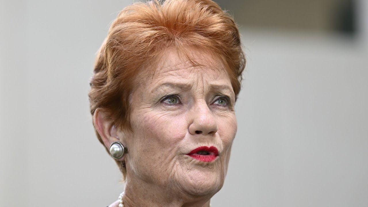 Liberal Party has &lsquo;dropped the ball&rsquo; as One Nation support strengthens