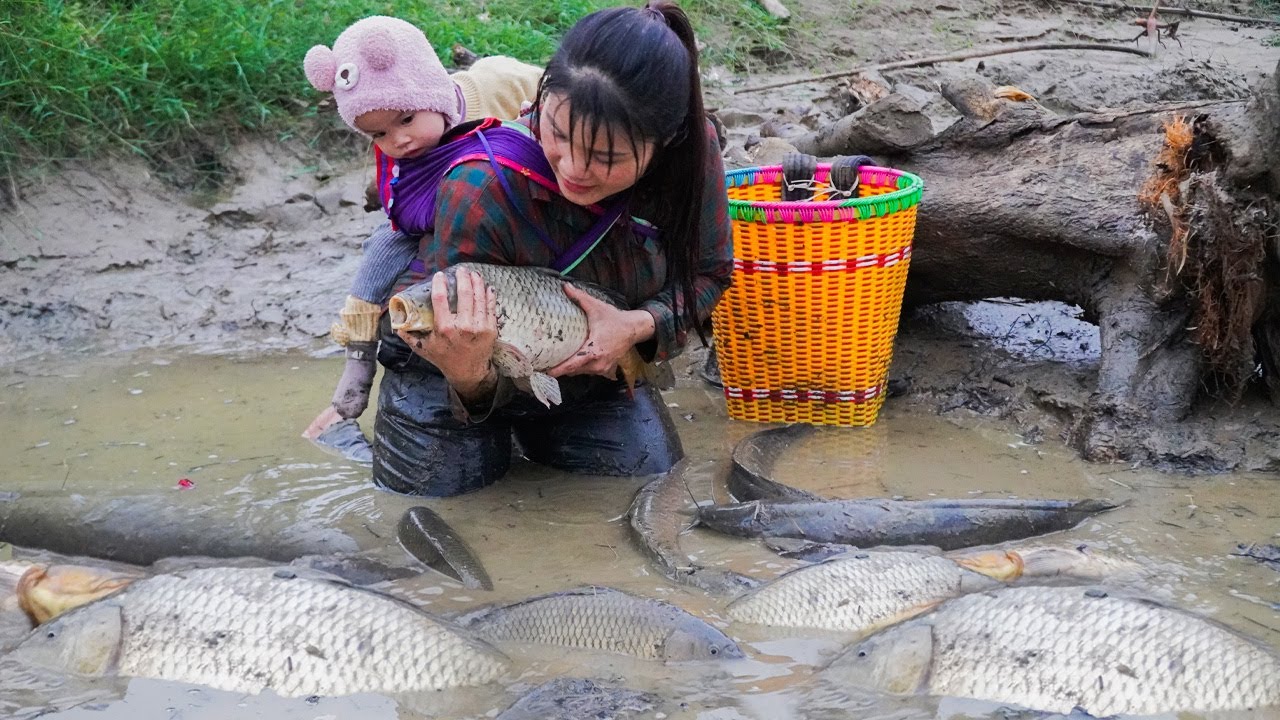 Encountering a giant school of fish | Catching and trapping giant fish with my daughter on rainy day