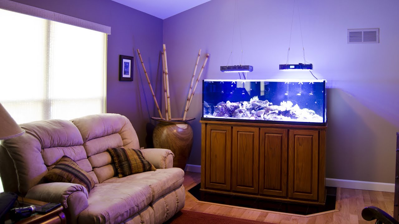 Tom's 125-gallon Rimless Reef Display