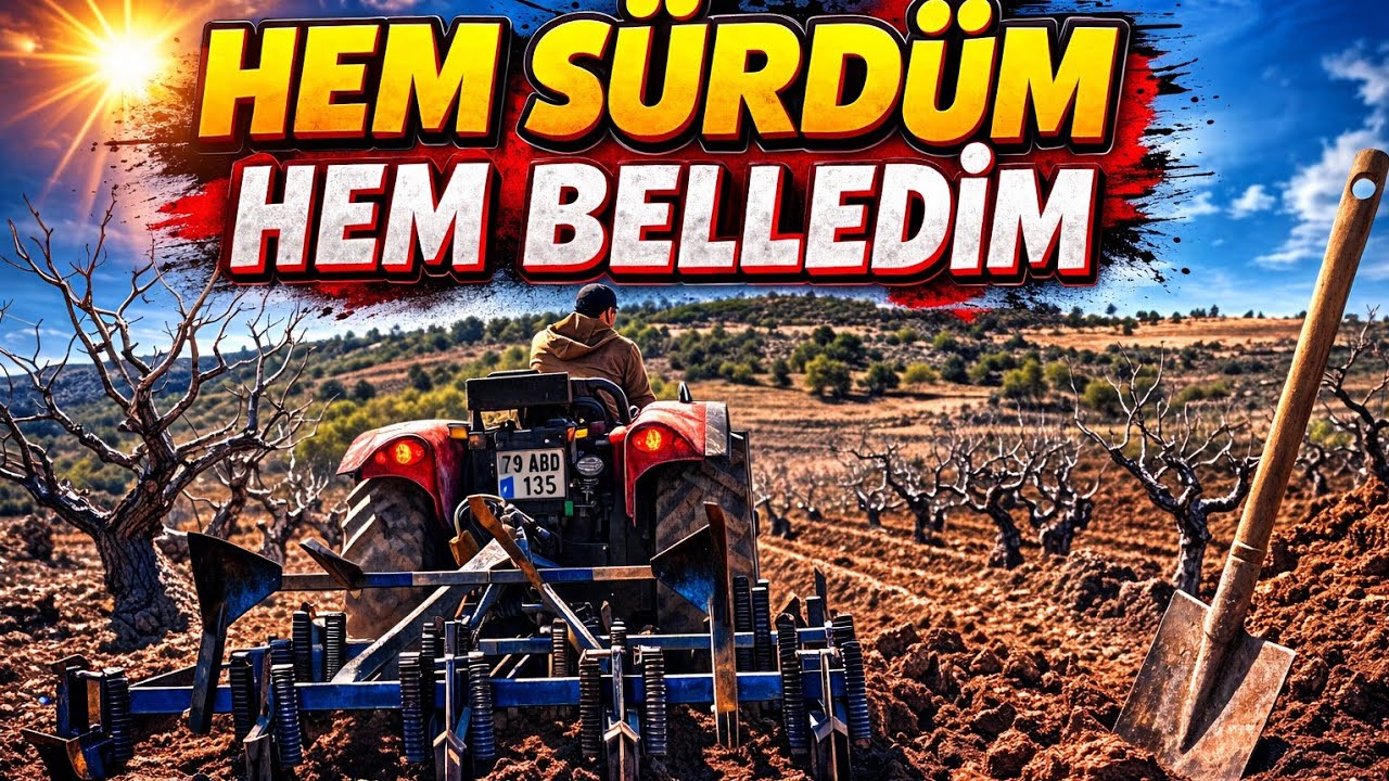 SÜRÜME BAĞLA DEVAM... YİNE BİRÇOK İŞİ ELDEN ÇIKARTTIM...