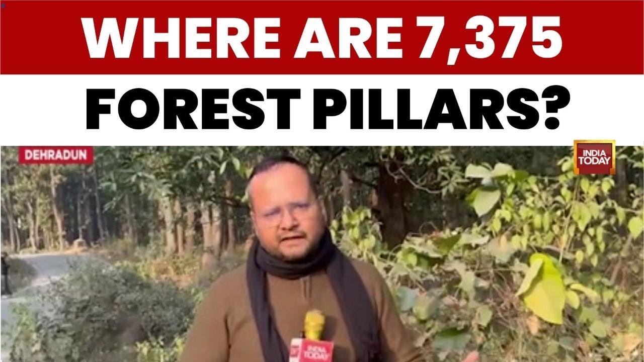 Uttarakhand High Court Issues Notice to CBI Over 7,375 Missing Forest Pillars in Mussoorie