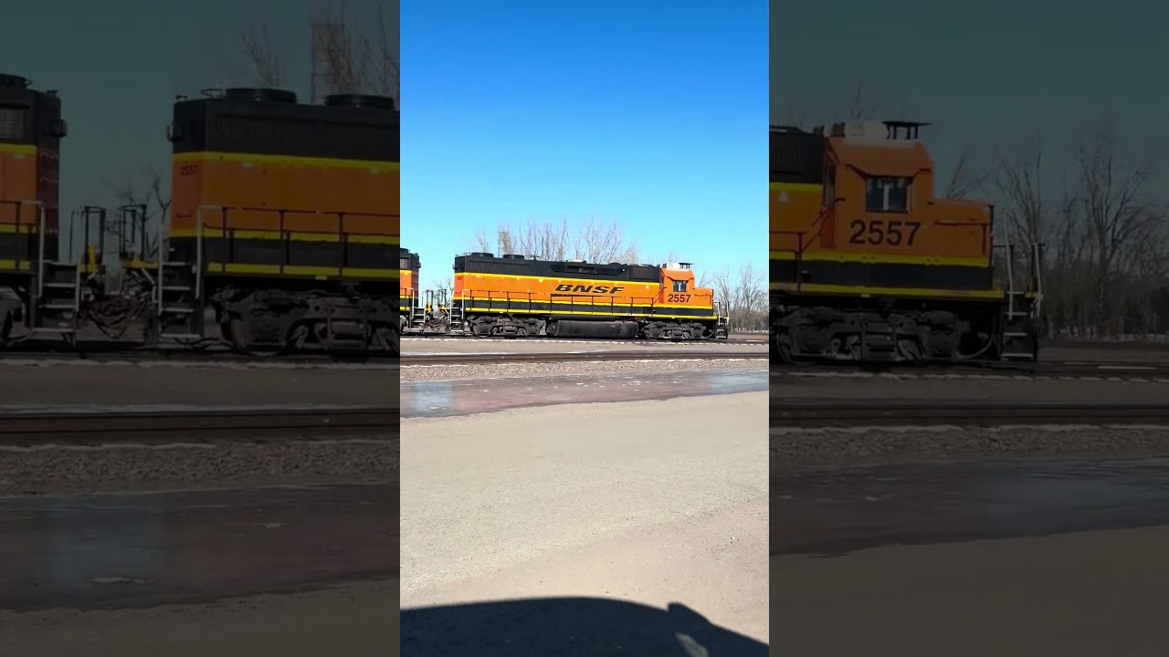 BNSF Staged Power Aberdeen Yard.#train #railway #shortvideo Subscribe for more.