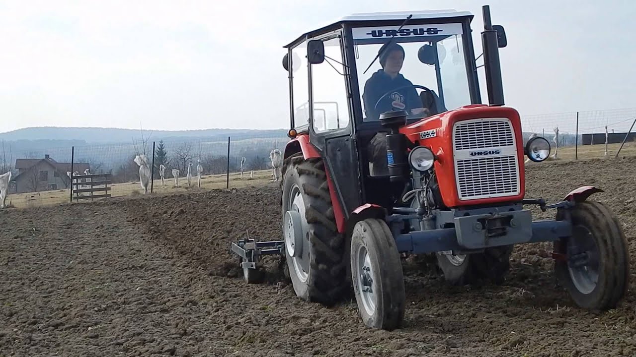 Uprawa pod ziemniaki || Ursus C-330