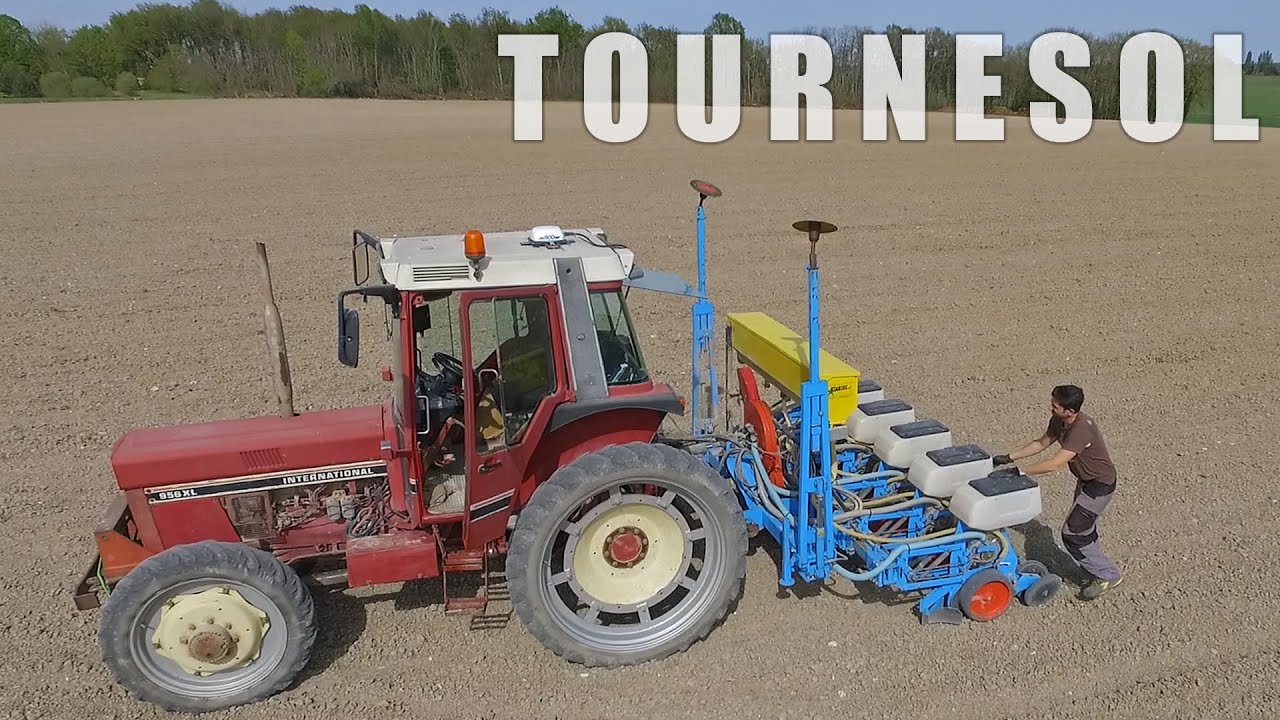 Le semis de tournesol avec le nouvel équipement - 2022