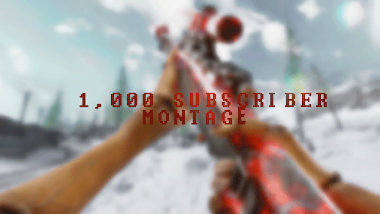 1000 Subscribers Montage