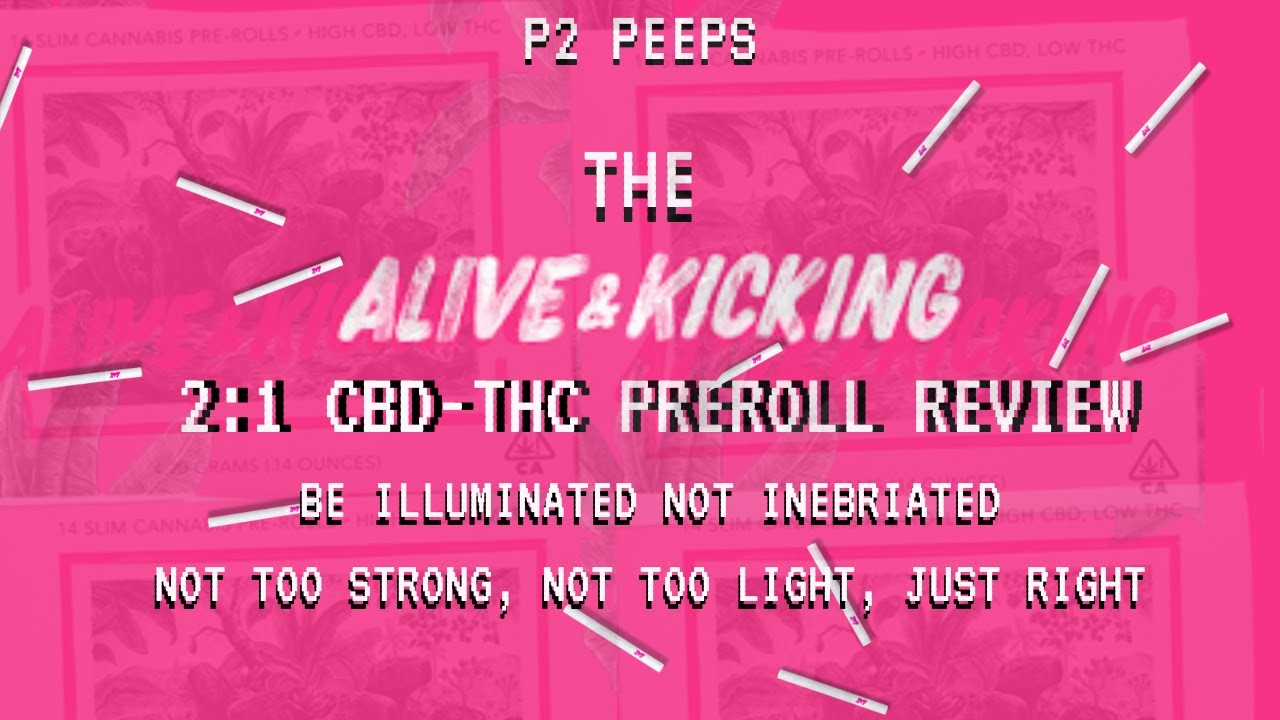 THESE CBD THC PRE-ROLLS ARE INSANE | Alive & Kicking 2:1 CBD THC Pre-Roll Review |