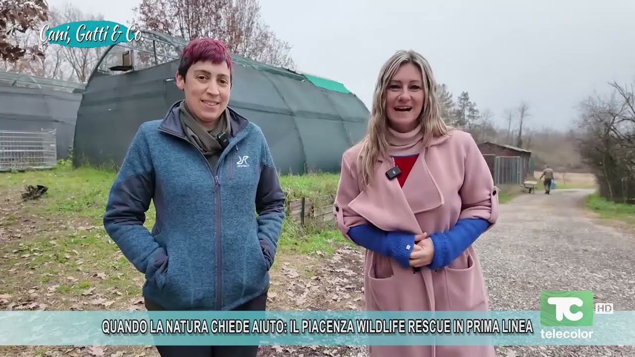 Quando la natura chiede aiuto: il Piacenza Wildlife Rescue in prima linea - 02.02.2026