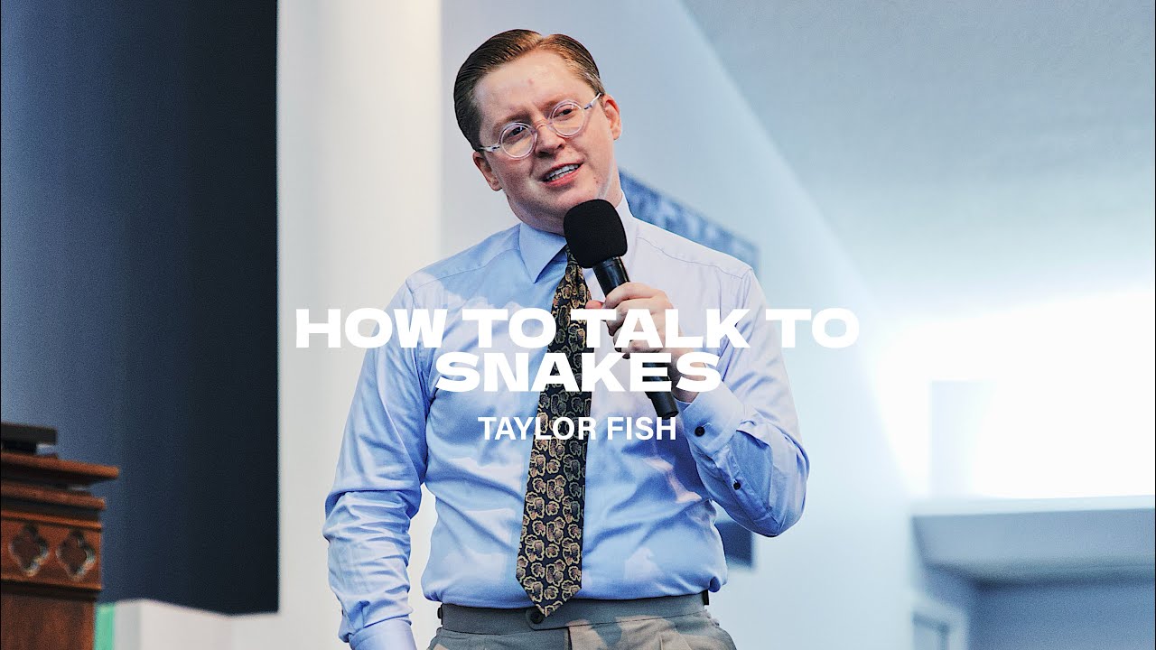 Taylor Fish - HOW TO TALK TO SNAKES