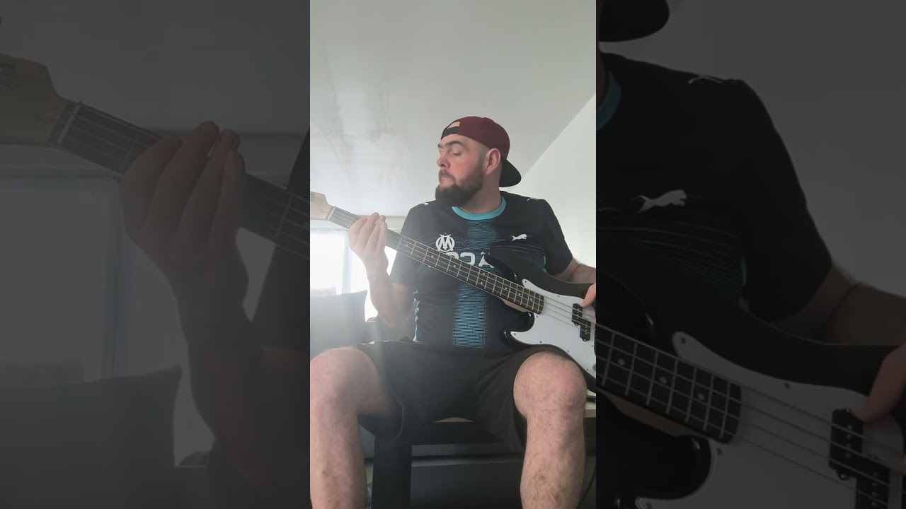The reason hoobastank bass cover 