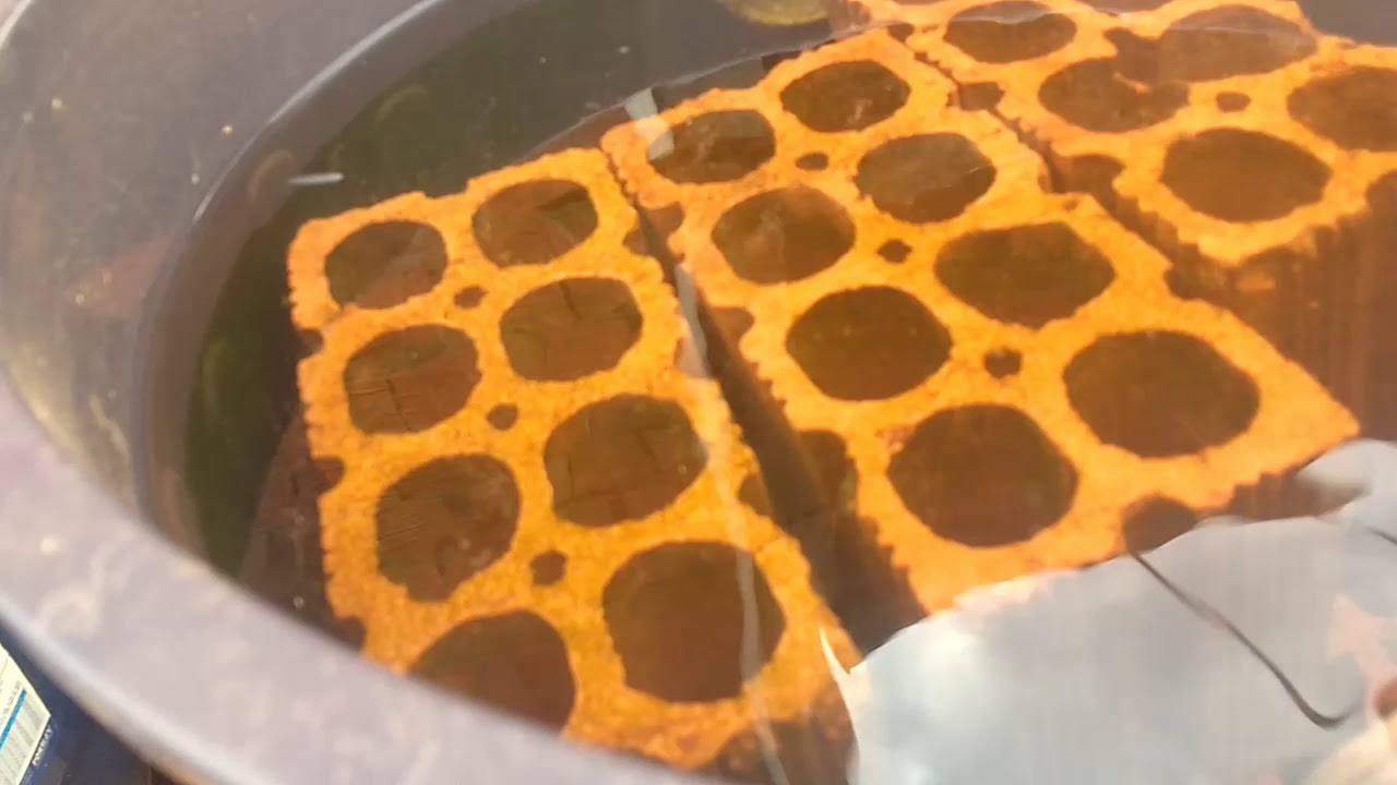 COMO MONTAR CORRETAMENTE UM DECANTADOR QUE ABSORVA 85% DOS DEJETOS DOS PEIXES CRIADOS EM CAIXA.