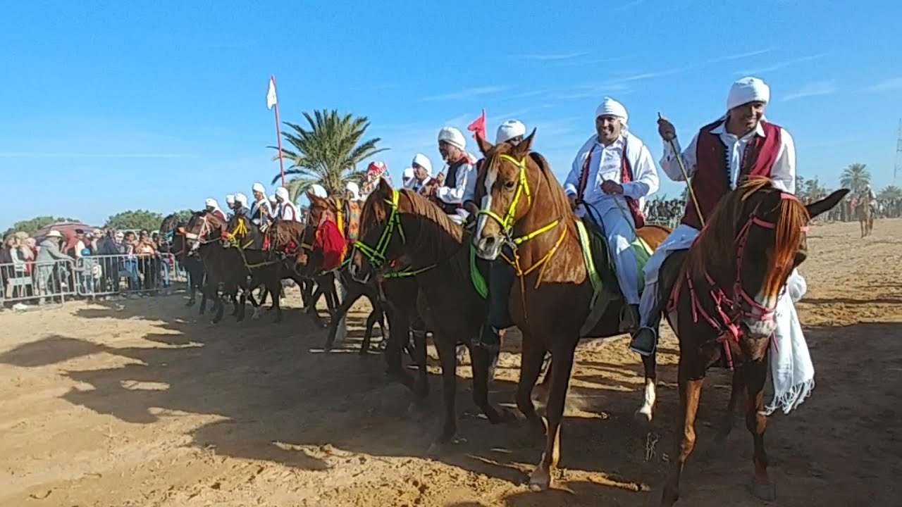 فرسان ميدون و الحدادة و بني معقْل في مهرجان جني الزيتون بمغزال 15 ديسمبر 2019