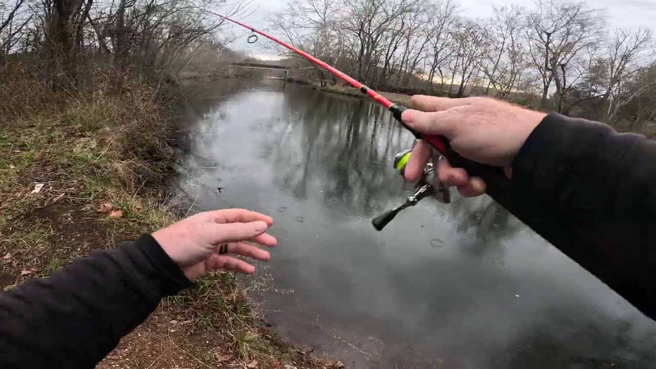 Just Enjoying The Outdoors