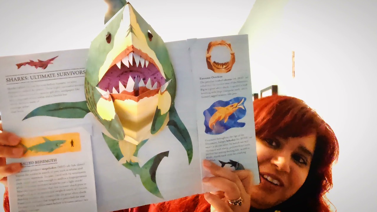 Sharks and other sea Monsters
