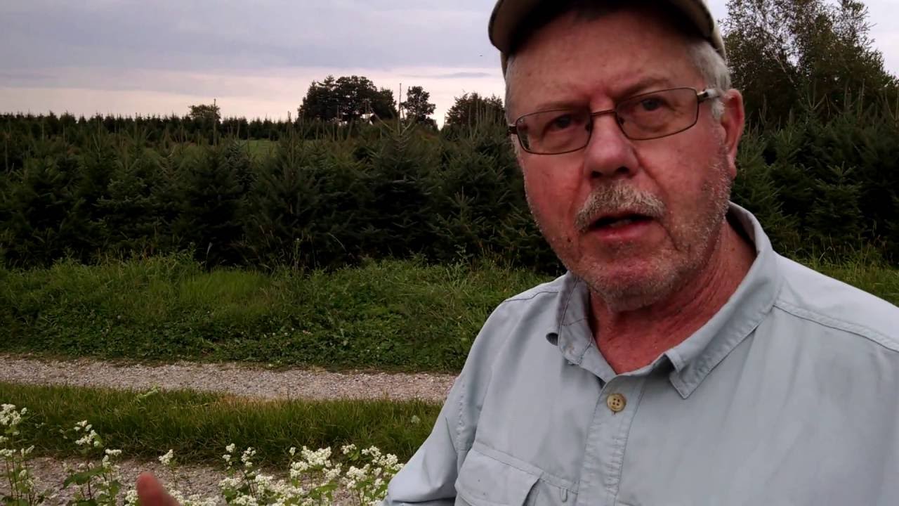S1:E15 Why we grow buckwheat in the tree fields