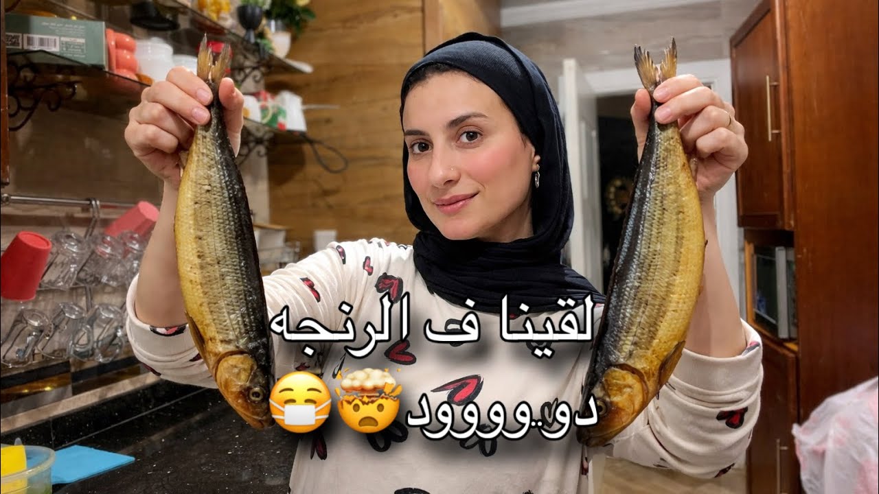 اتصدمنا من اللي شوفناه ف الرنجه 🤯😷😤