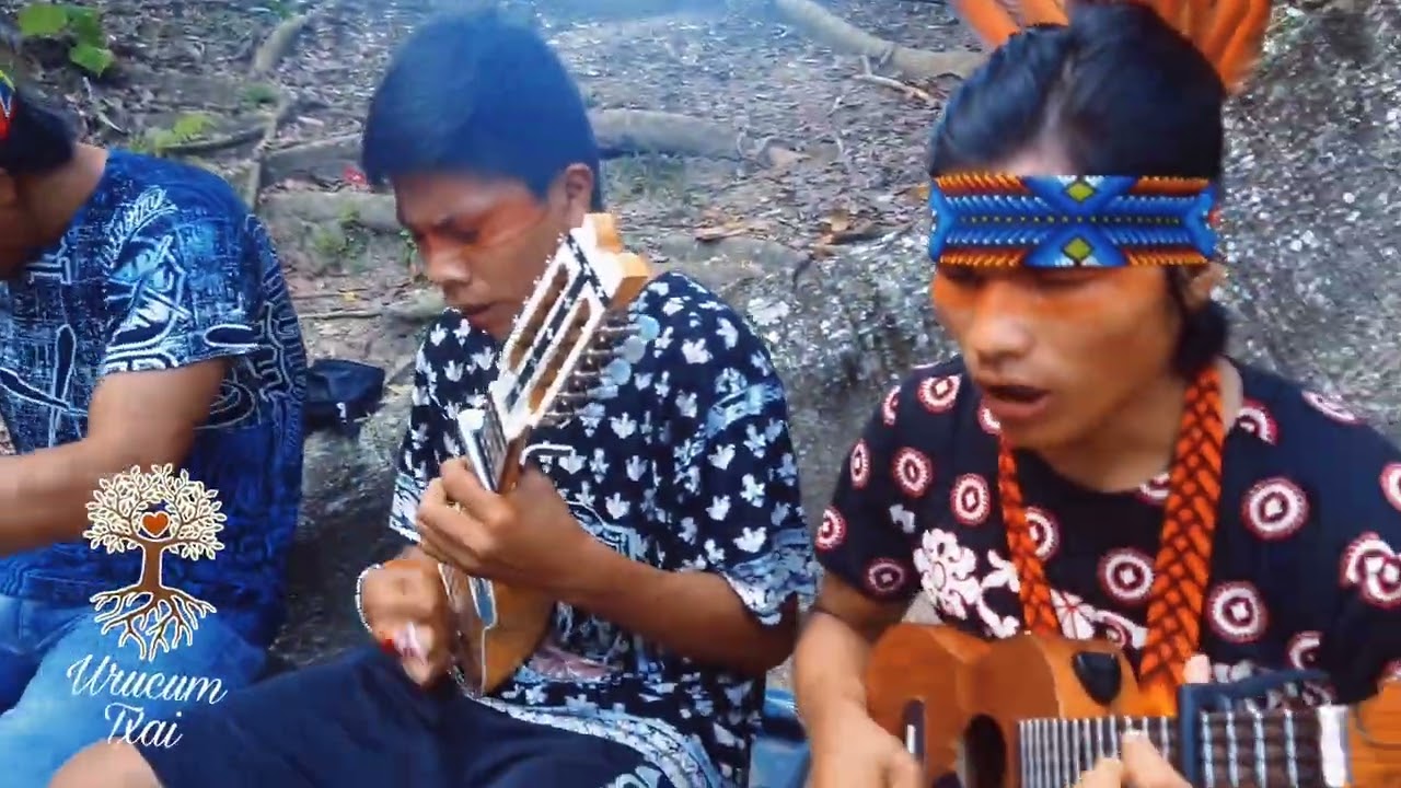🍃✨Grupo Shane Yawa Saete - Awa Roua Nakia - Povo Shanenawa - Música de Rezo - Medicina Songs ✨🍃