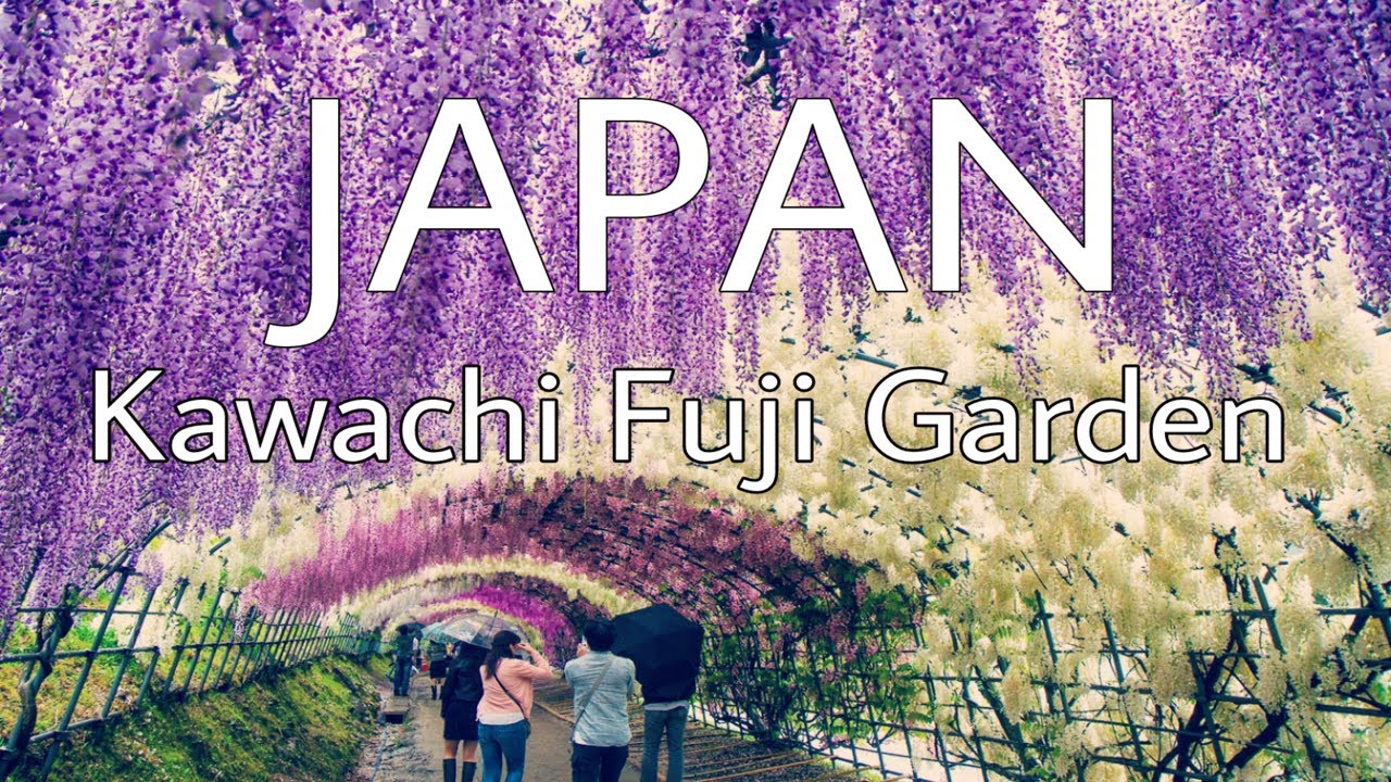 Kawachi Fujien Garden - JAPAN | TRAVEL lust