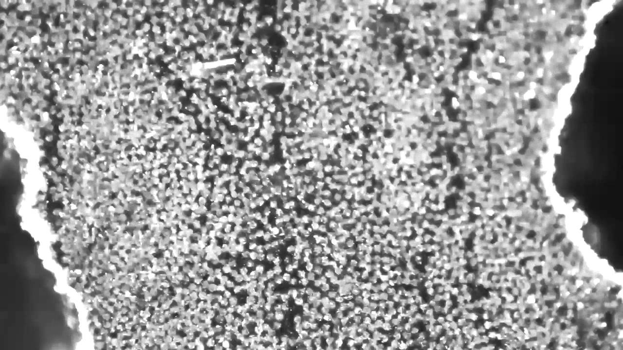 Fertig Research Group: Transverse Compression Failure of Carbon/Epoxy Composite