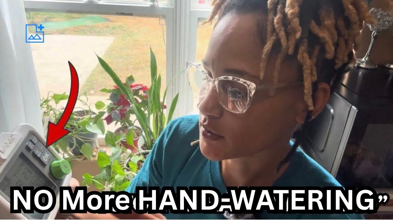 This Waters My Indoor Plants Automatically | RainPoint Drip System Full Setup