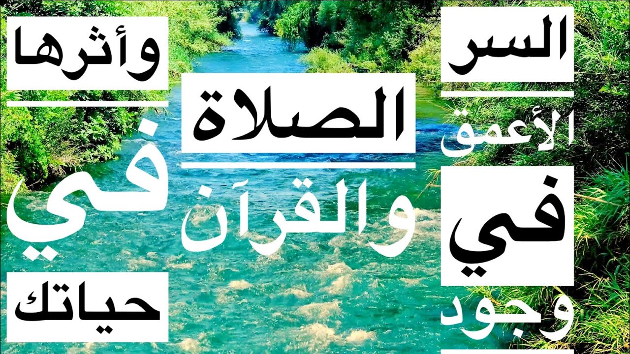 توأمة القرآن وصلاة الحب (الجزء الخامس والأخير )