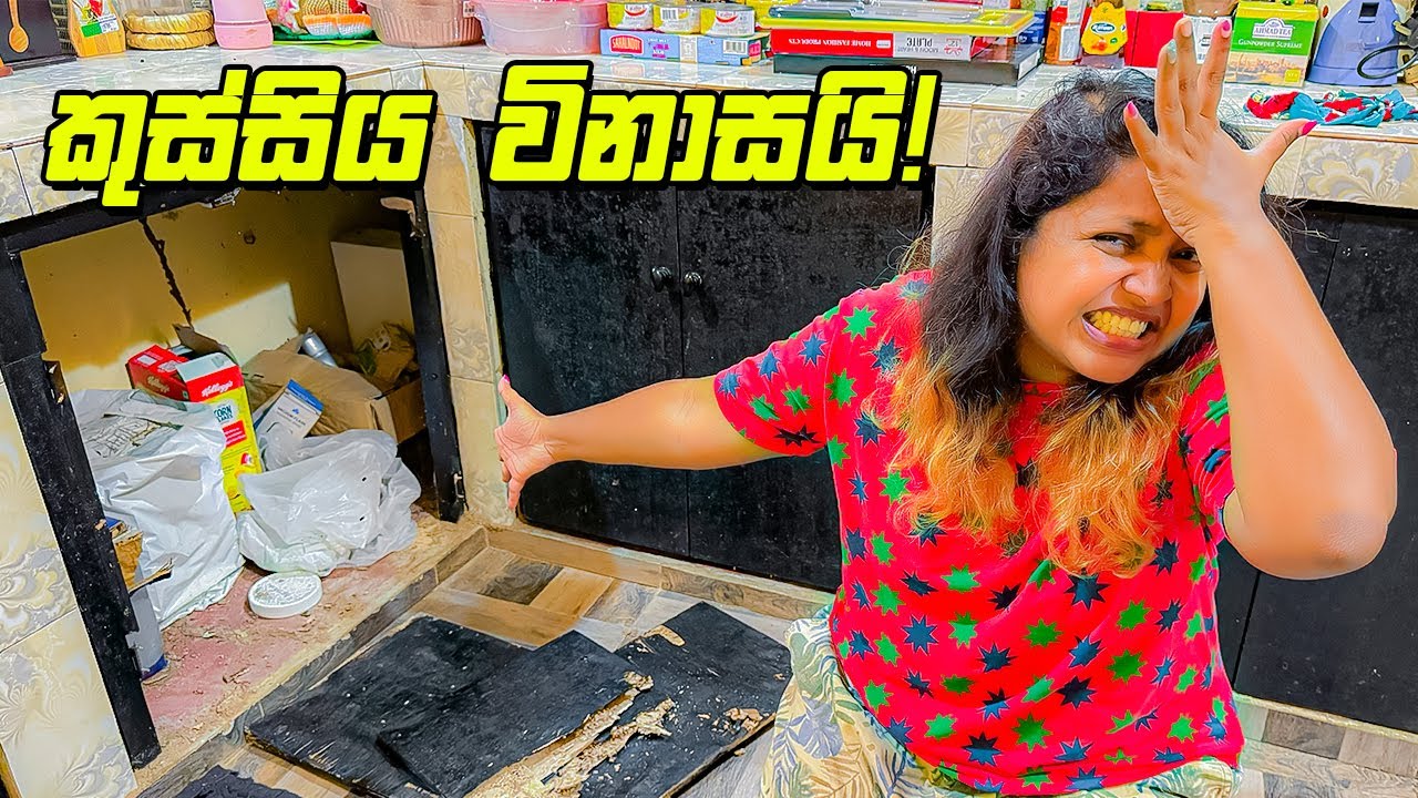 කුස්සියට හෙණ ගහලා  - VLOG 309