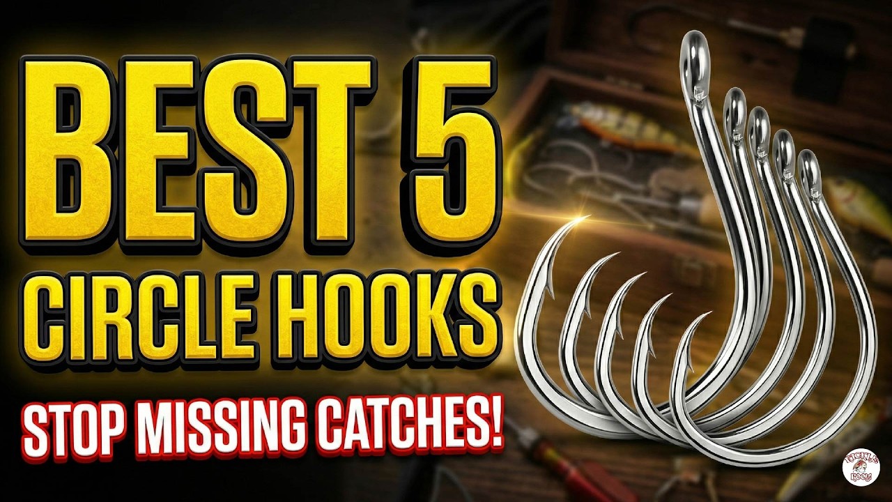 Best Circle Hooks: 5 Must-Have Hooks for Every Saltwater Angler!