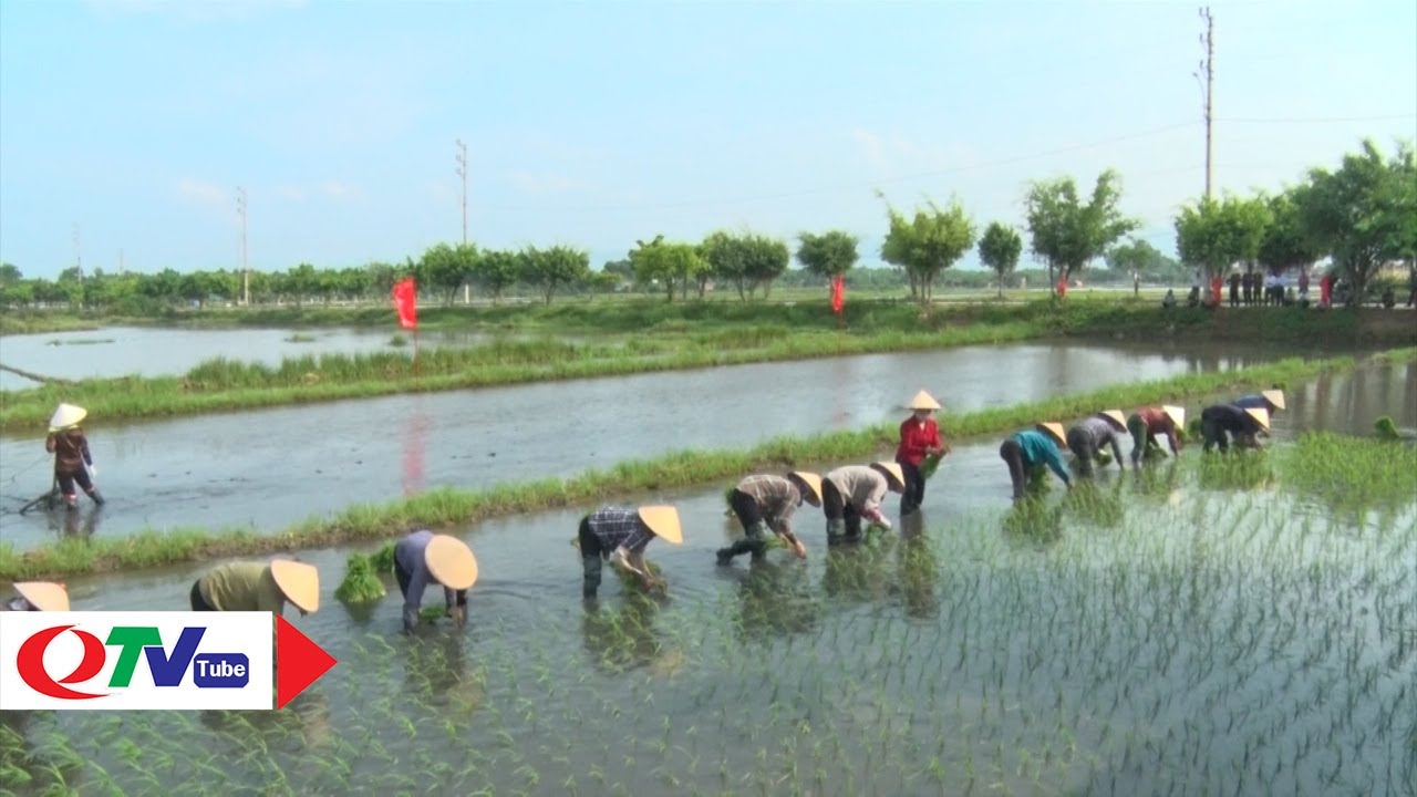 Thượng Yên Công: Hành trình về đích nông thôn mới kiểu mẫu | QTV