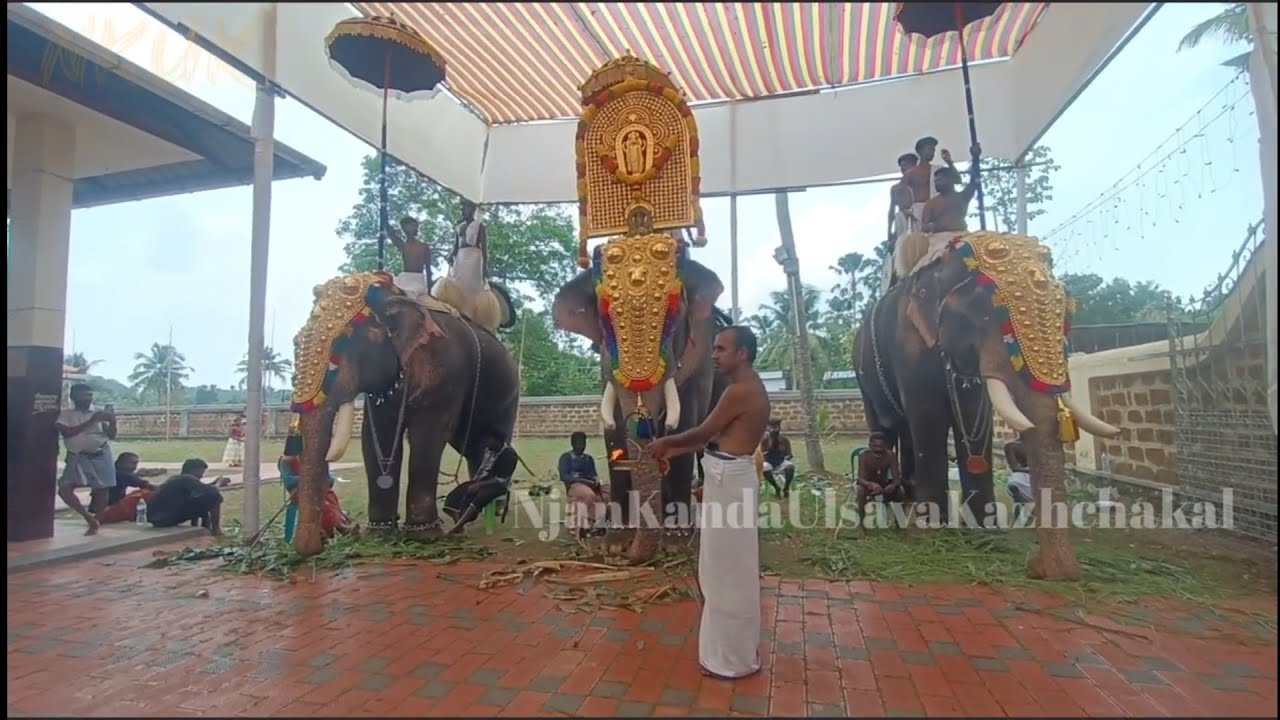 വിഷുവേല തൃശ്ശൂർ പുതുക്കാട് കാഞ്ഞൂർ 2025