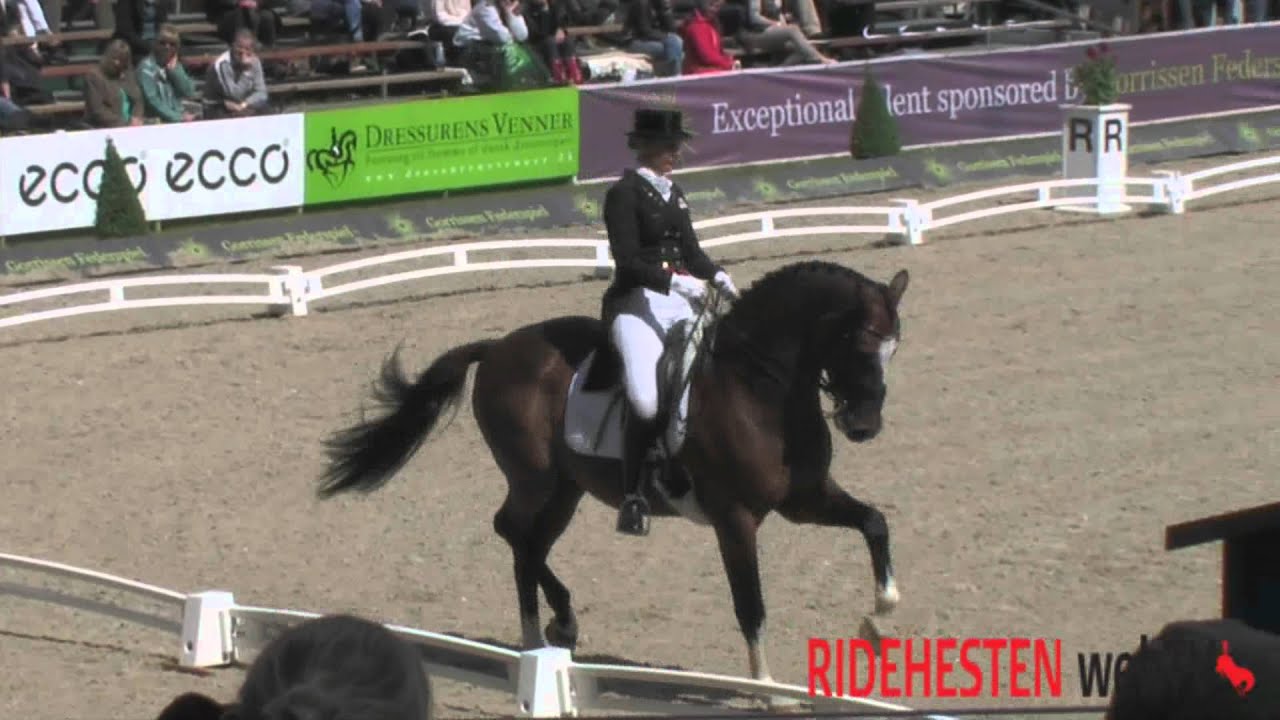 DM Broholm 2012 | Anne van Olst / Exquis Clearwater i Grand Prix Special