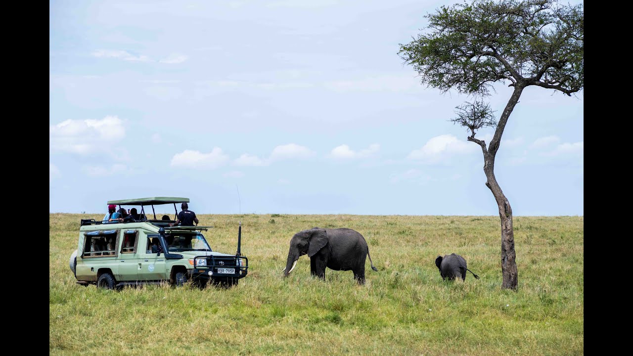 ADVENTURE | THE MASAI MARA